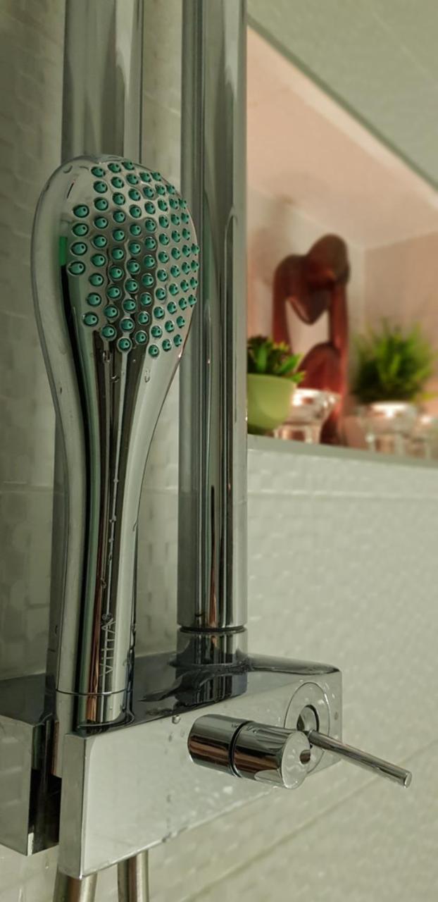 Apartment Plaza ----Wallbox 11Kw 16A ----- Private Spa- Jacuzzi, Infrared Sauna, Luxury Massage Chair, Parking, Entry With Pin 0 - 24H, Free Cancellation 24 Hours Before Check In Slavonski Brod Exterior foto